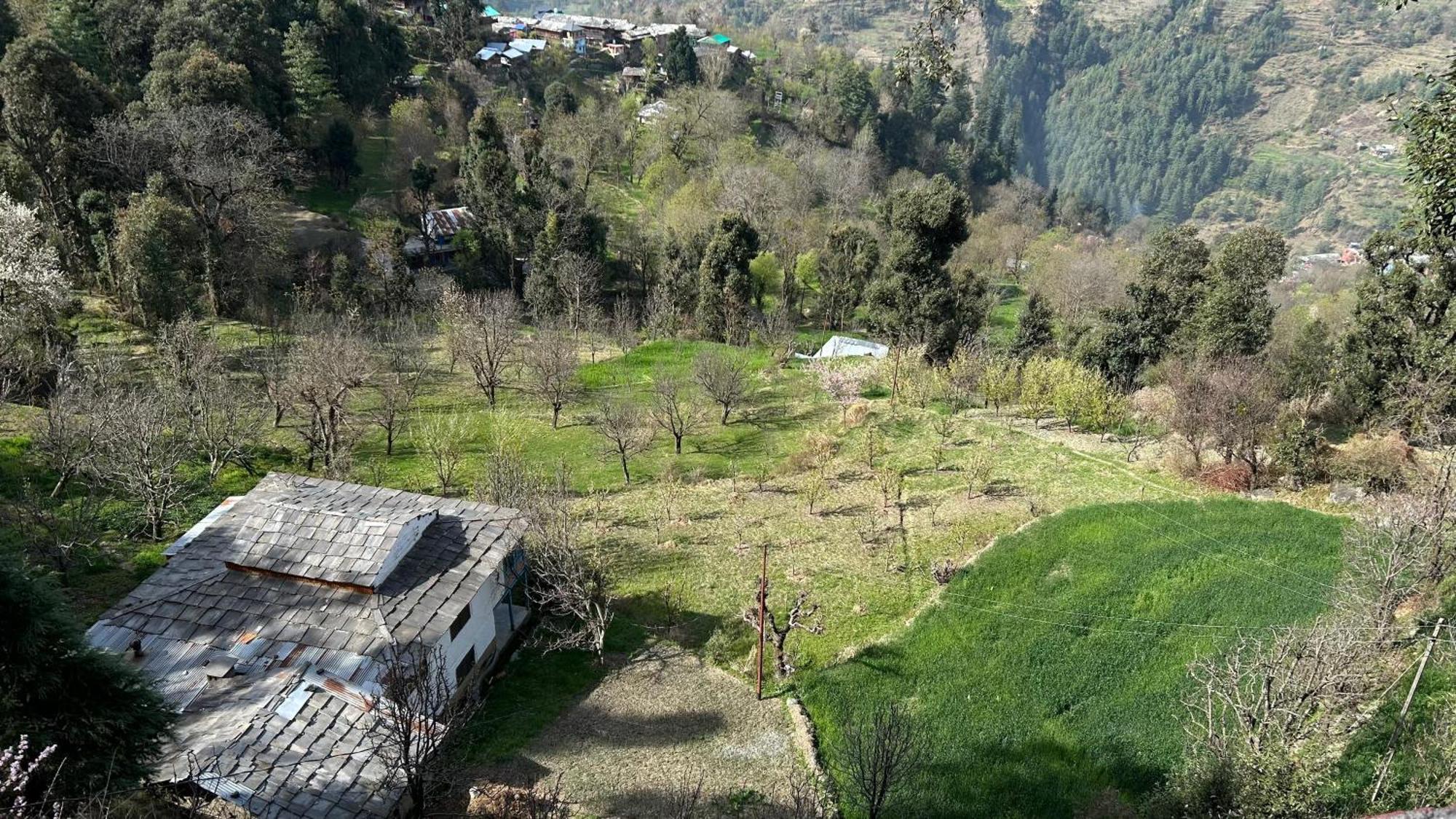 Mozo Inn&Cafe Jibhi Banjār Exterior photo